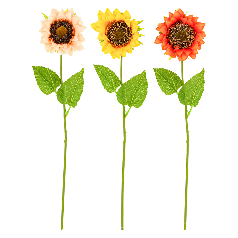 Tige de de tournesol