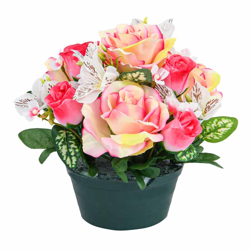 Petite coupe de roses