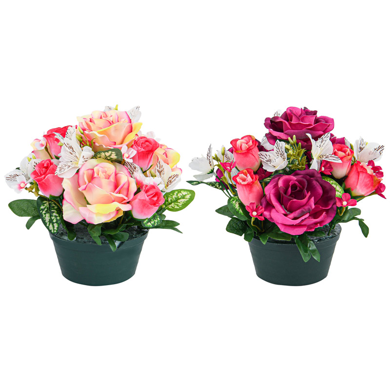 Petite coupe de roses