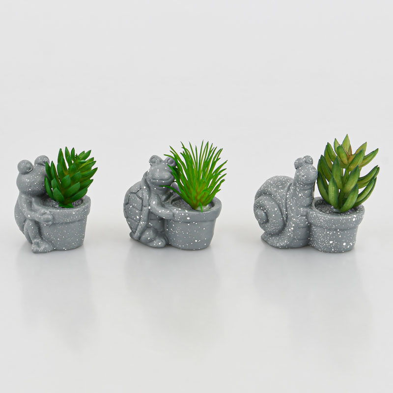 Plante grasse avec animal