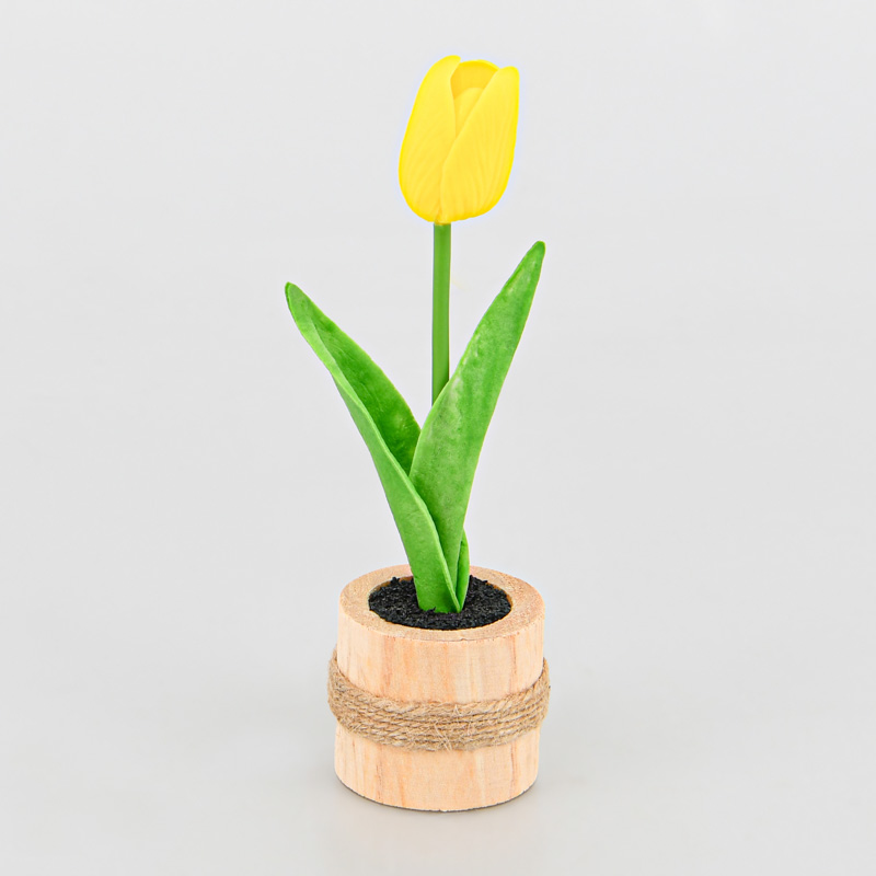 Petite tulipe en pot 