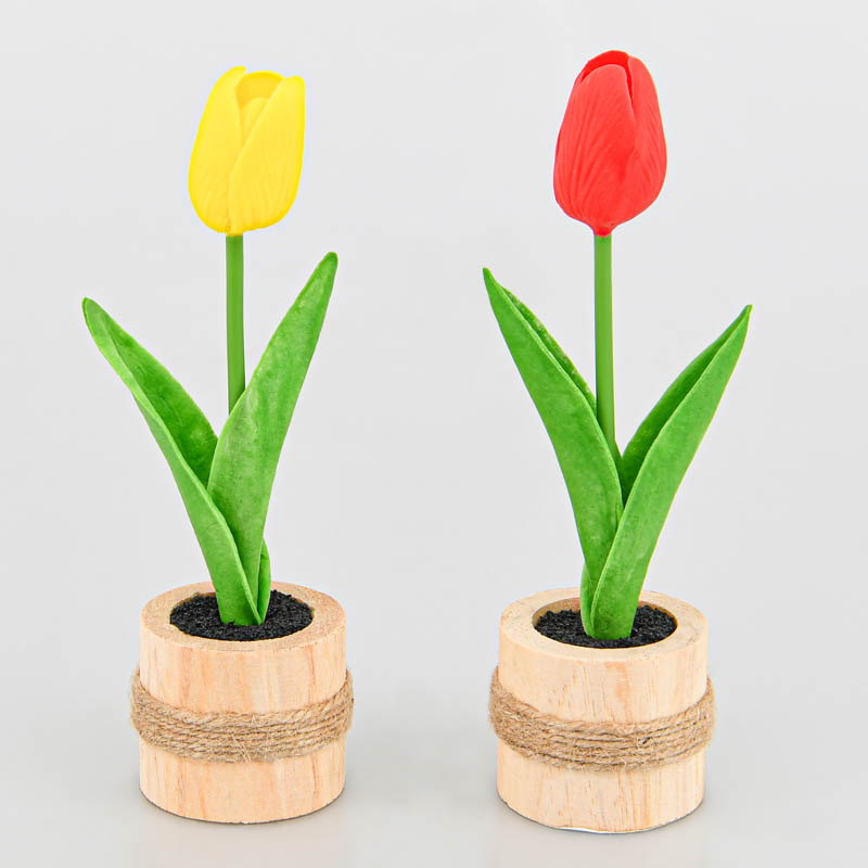Petite tulipe en pot 