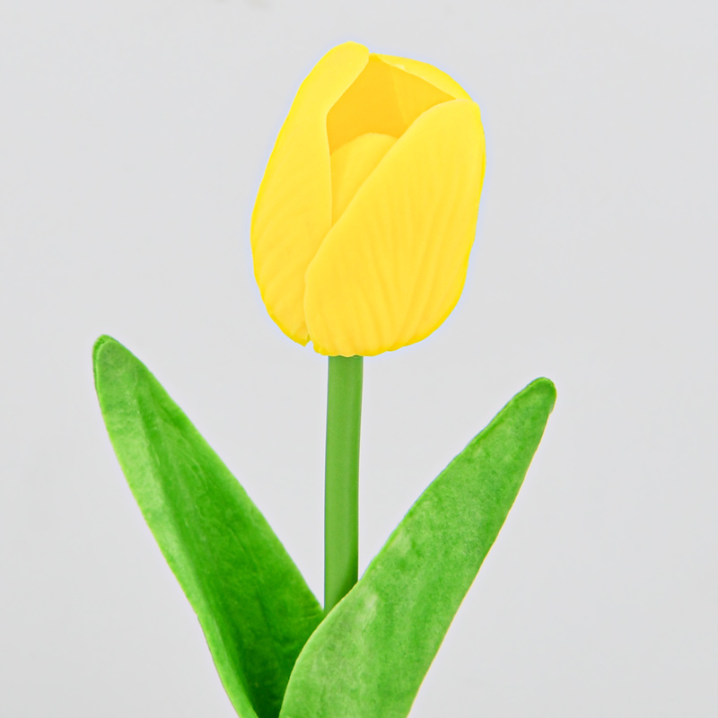 Petite tulipe en pot 