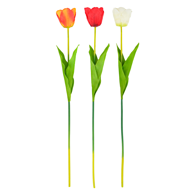 Tige de tulipe