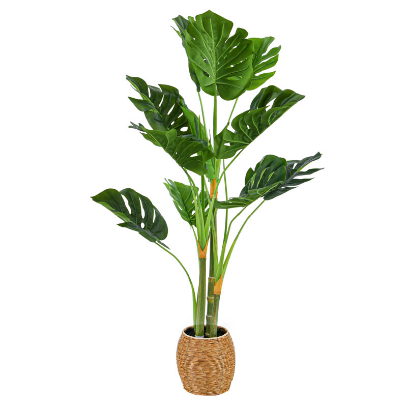 Monstera en pot vert 