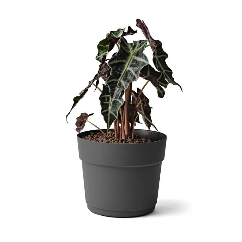 Pot 'Bloom' en plastique recyclé