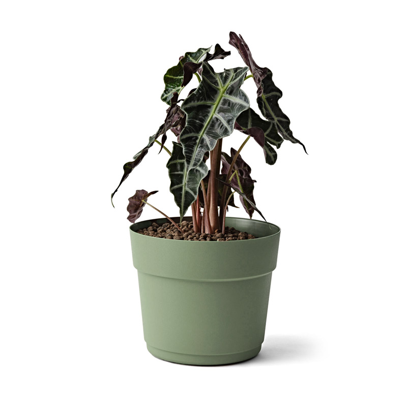 Pot 'Bloom' en plastique recyclé