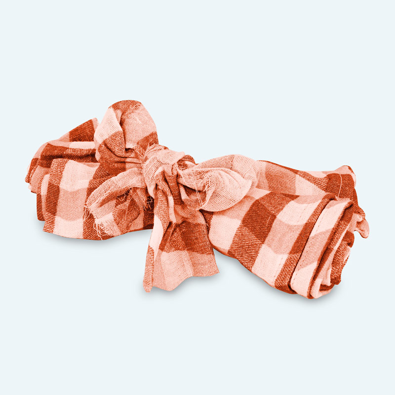 Lot de 2 serviettes de table 'Brigitte'
