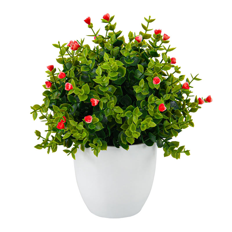 Petit pot de buis fleuri
