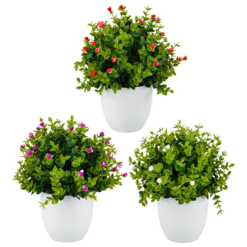 Petit pot de buis fleuri