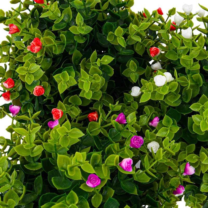 Petit pot de buis fleuri