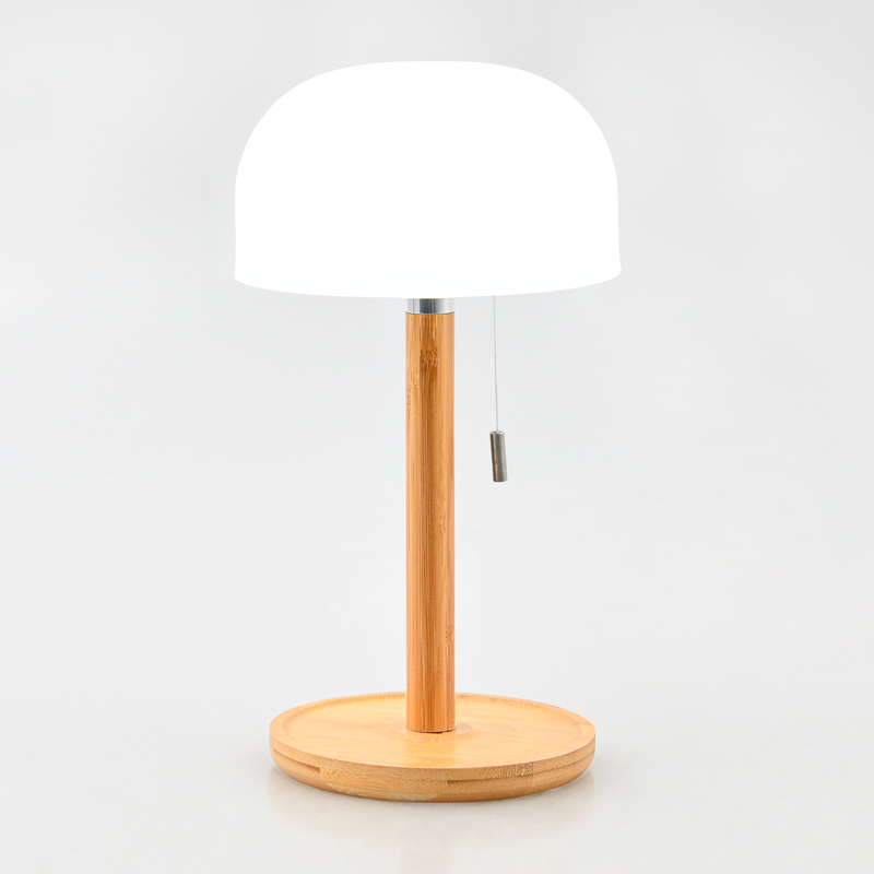 Lampe 'Jani' rechargeable 