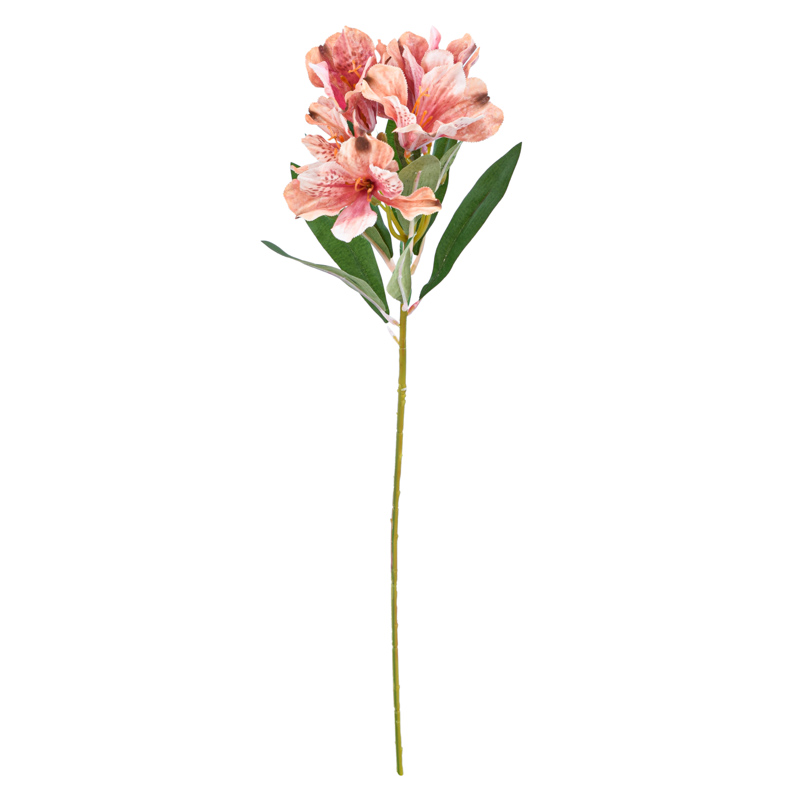 Tige d'alstromeria rose 62cm 