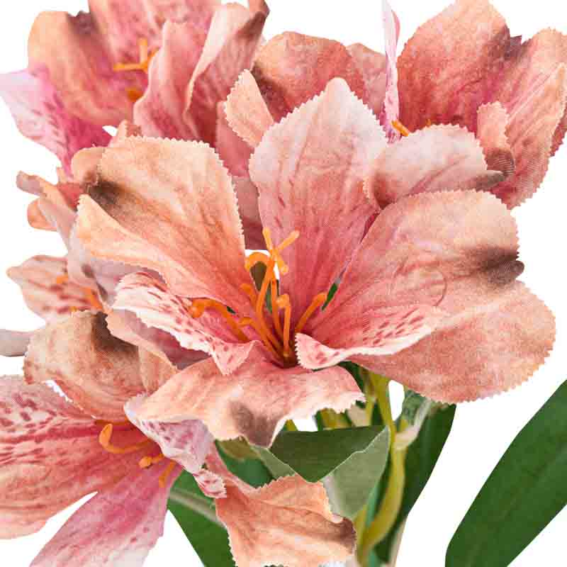 Tige d'alstromeria rose 62cm 