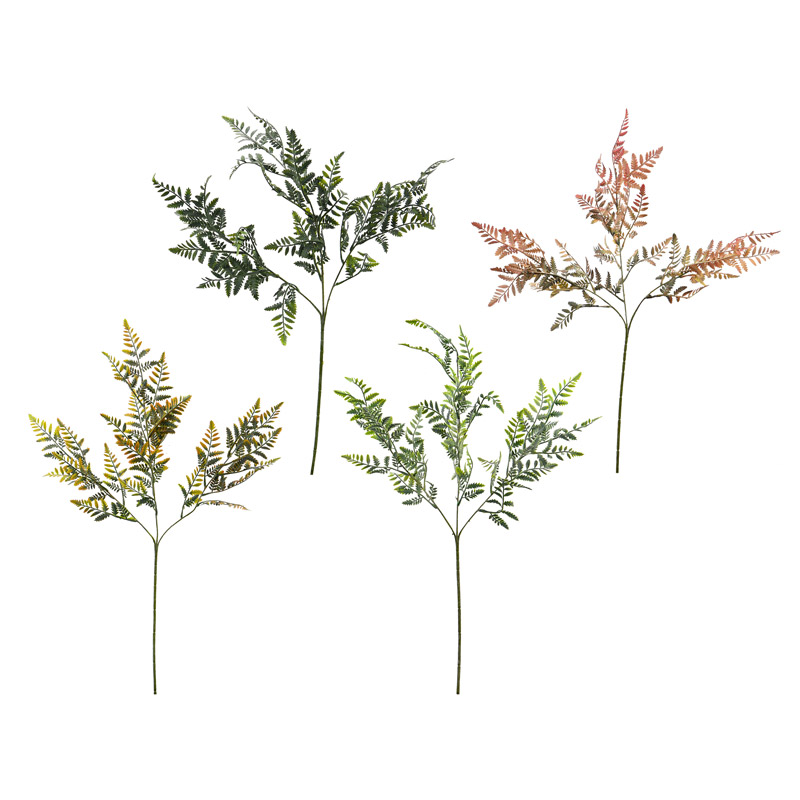 Tige de fougère 'Coeur d'Automne'