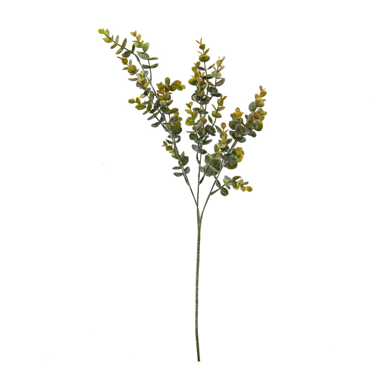Tige d'eucalyptus 'Coeur d'Automne'