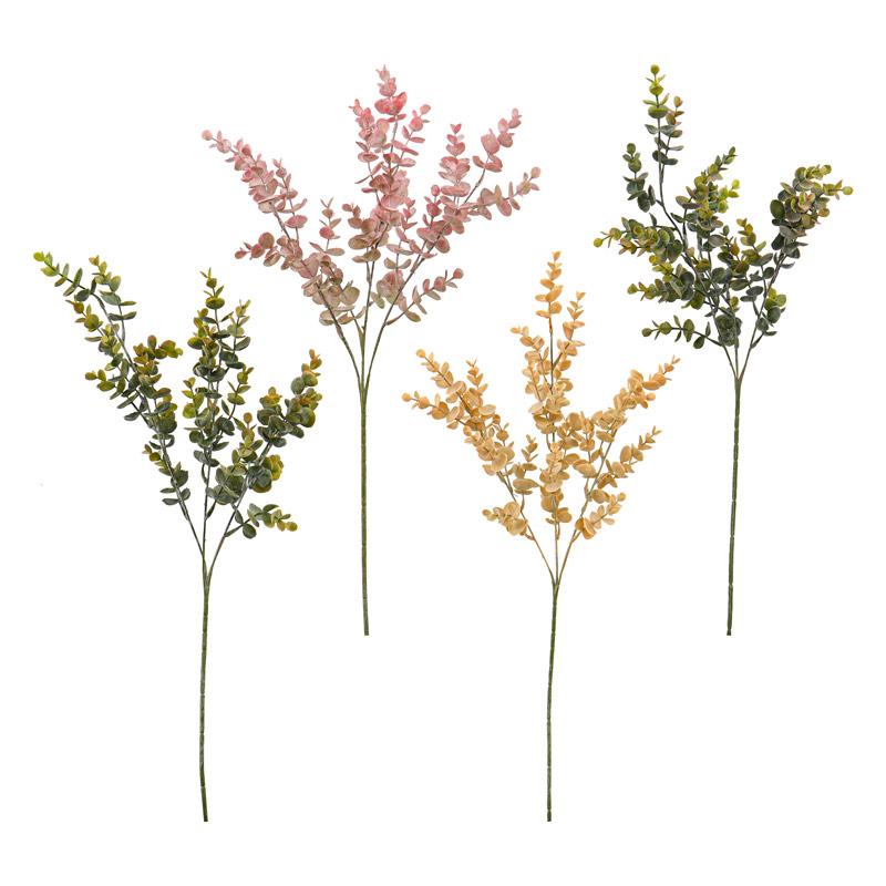Tige d'eucalyptus 'Coeur d'Automne'