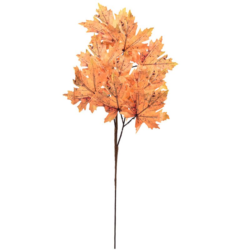 Branche feuilles d'érable 'Coeur d'Automne'
