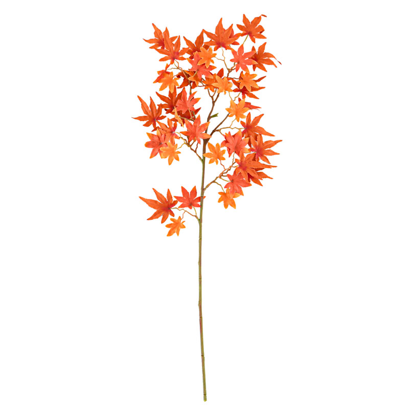 Tige de feuilles d'érable 'Coeur d'Automne'