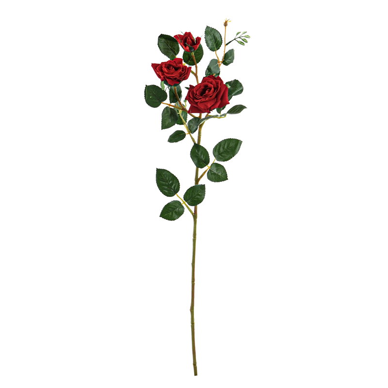 Tige de rose