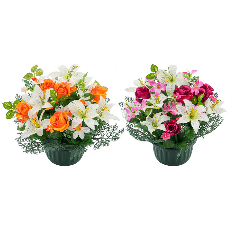 Potée de boutons de roses et mini orchidées