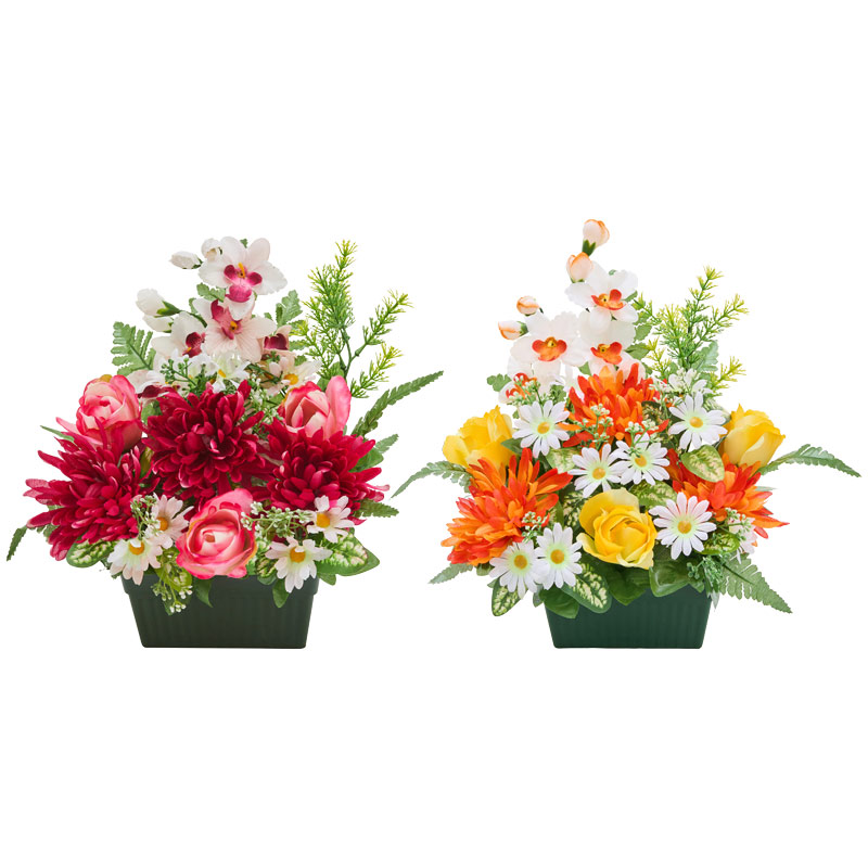 Mini jardinière de roses et orchidées