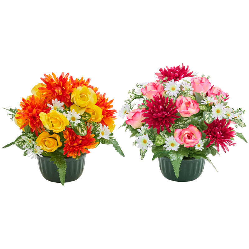 Potée de boutons de roses