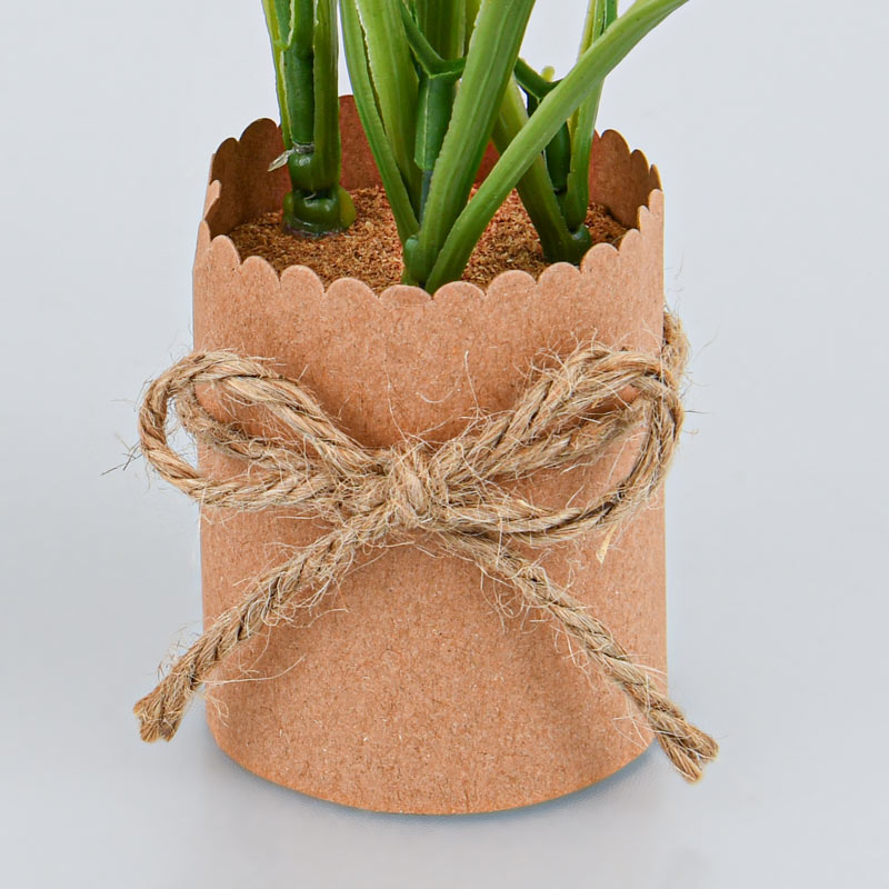 Jonquilles en pot blanches et roses 