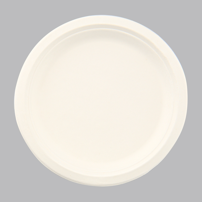 50 assiettes rondes blanches
