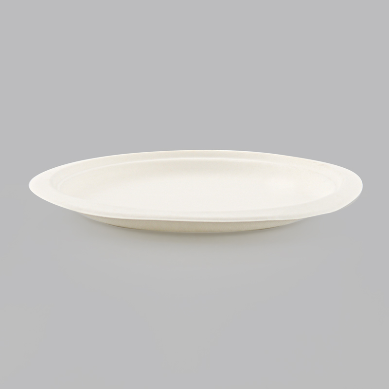 50 assiettes rondes blanches