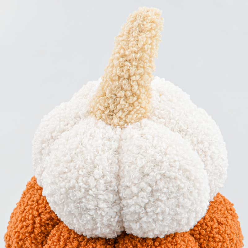 Citrouilles décoratives blanche verte orange