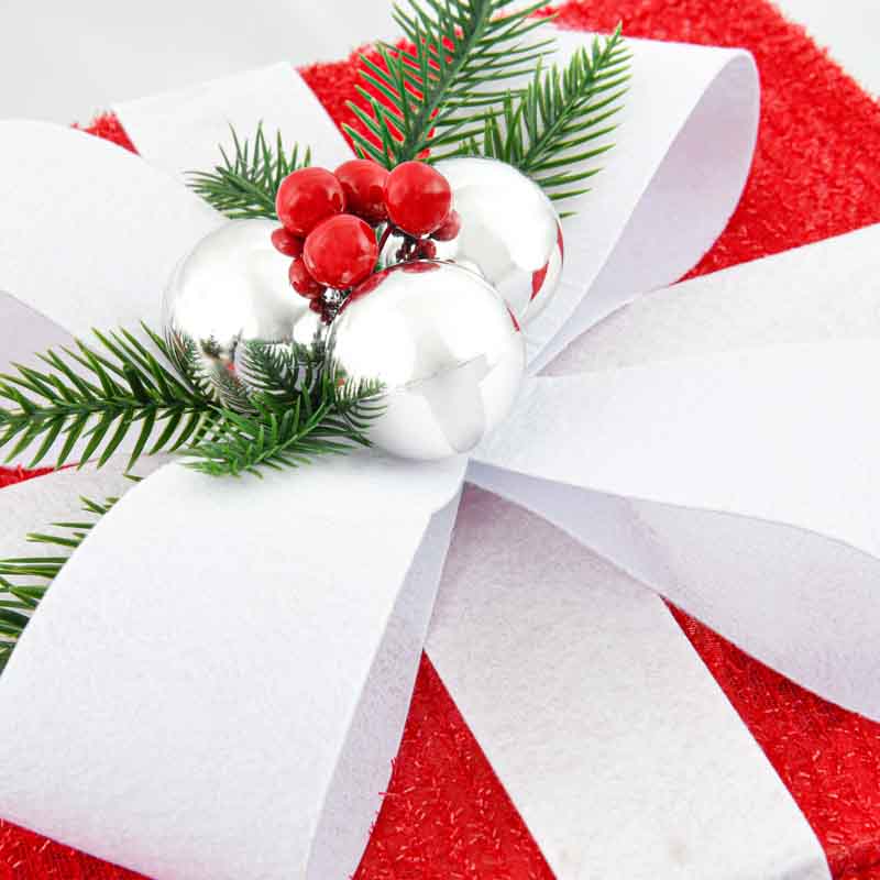 Cadeau surprise Père Noël animé