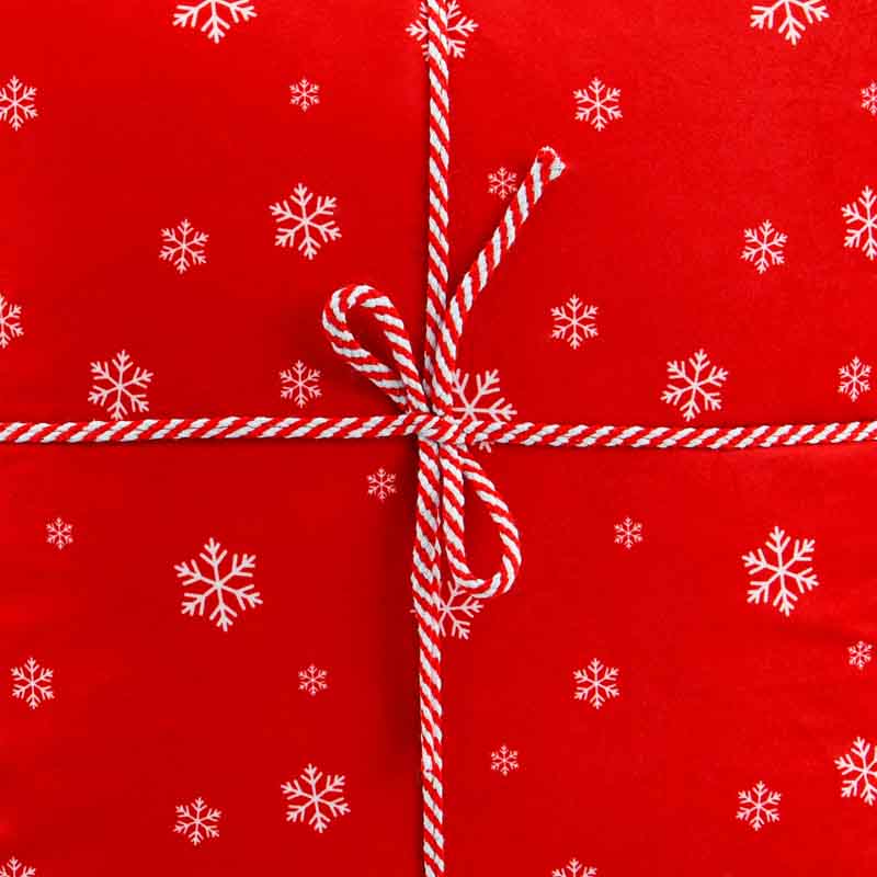 Coussin velours imprimé Noël rouge