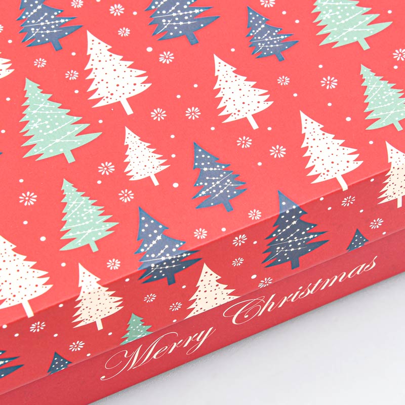 Boite cadeaux de Noël 