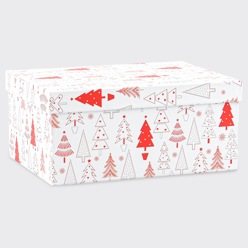 Boite cadeaux de Noël 