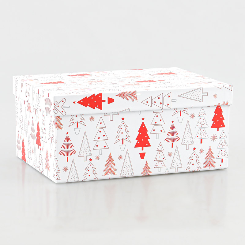 Boite cadeaux de Noël 