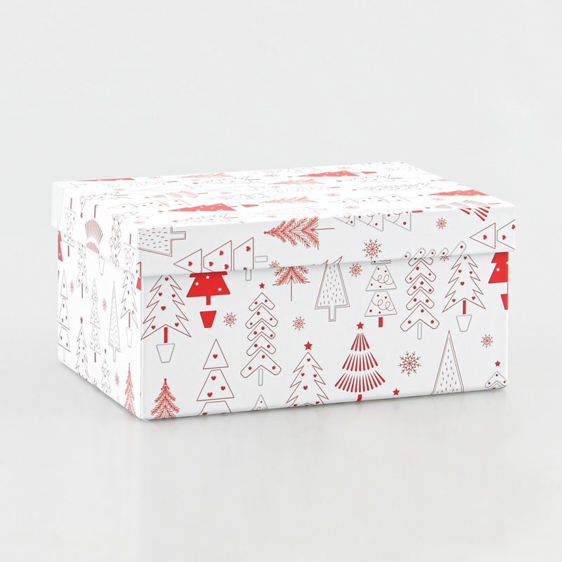 Boite cadeaux de Noël 