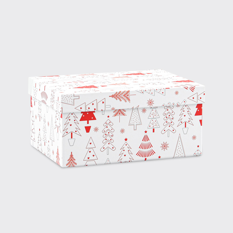 Boite cadeaux de Noël 