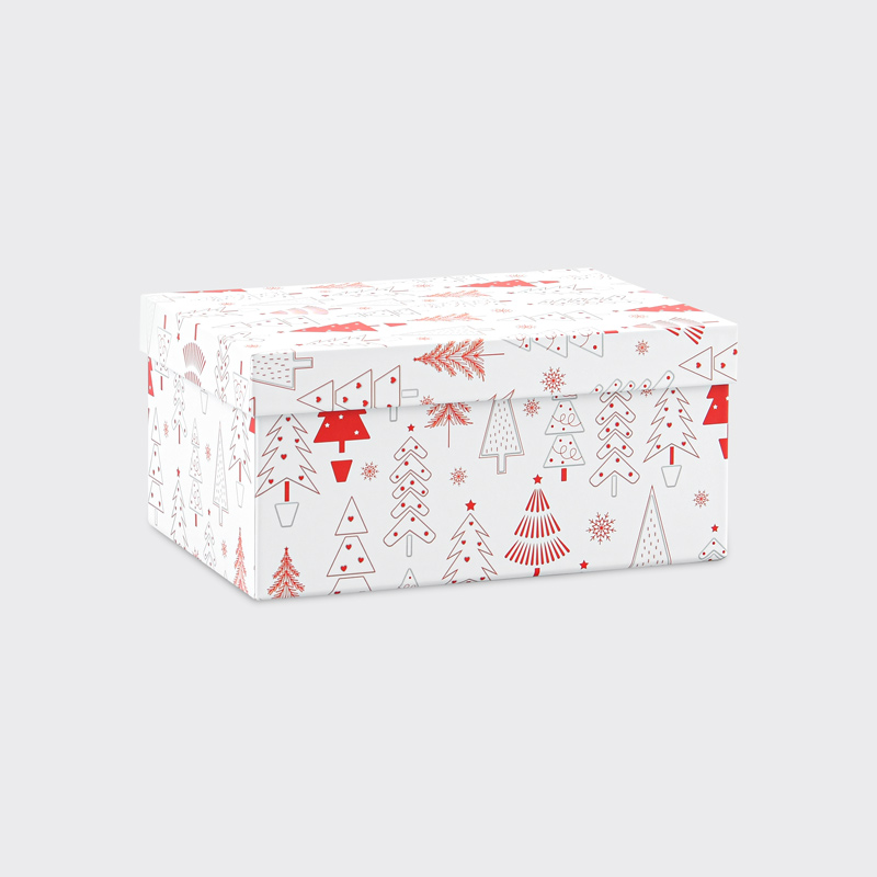 Boite cadeaux de Noël 