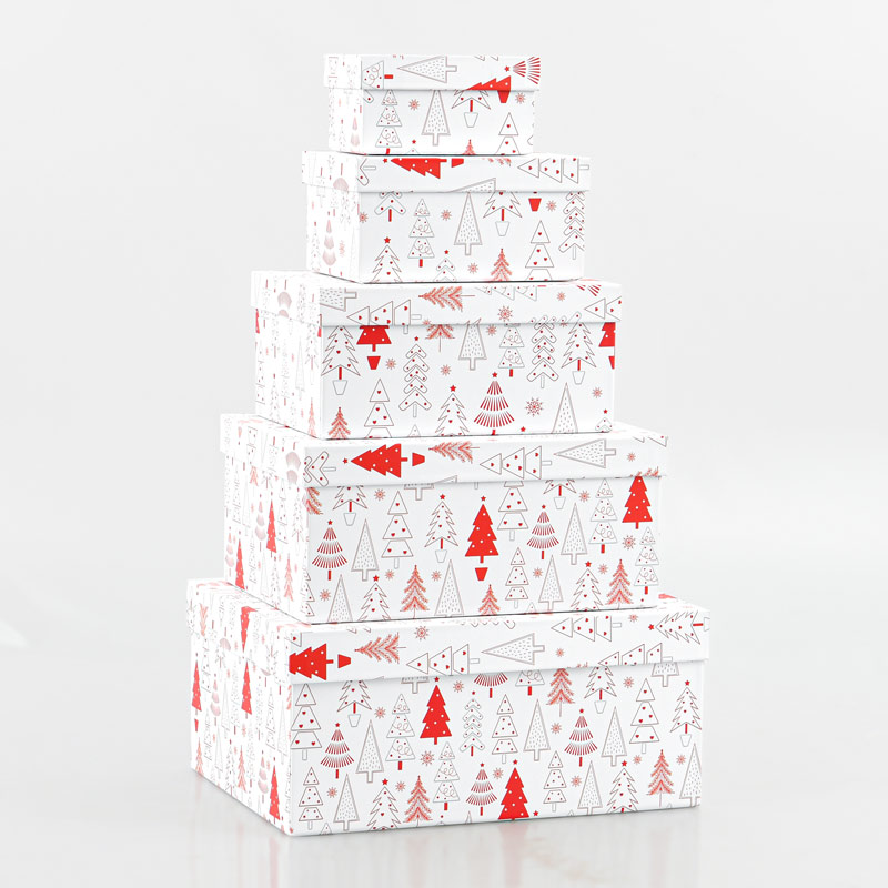 Boite cadeaux de Noël 