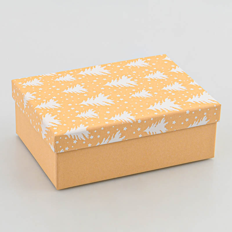 Boite cadeaux de Noël 