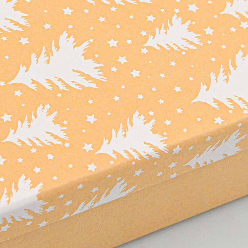 Boite cadeaux de Noël 