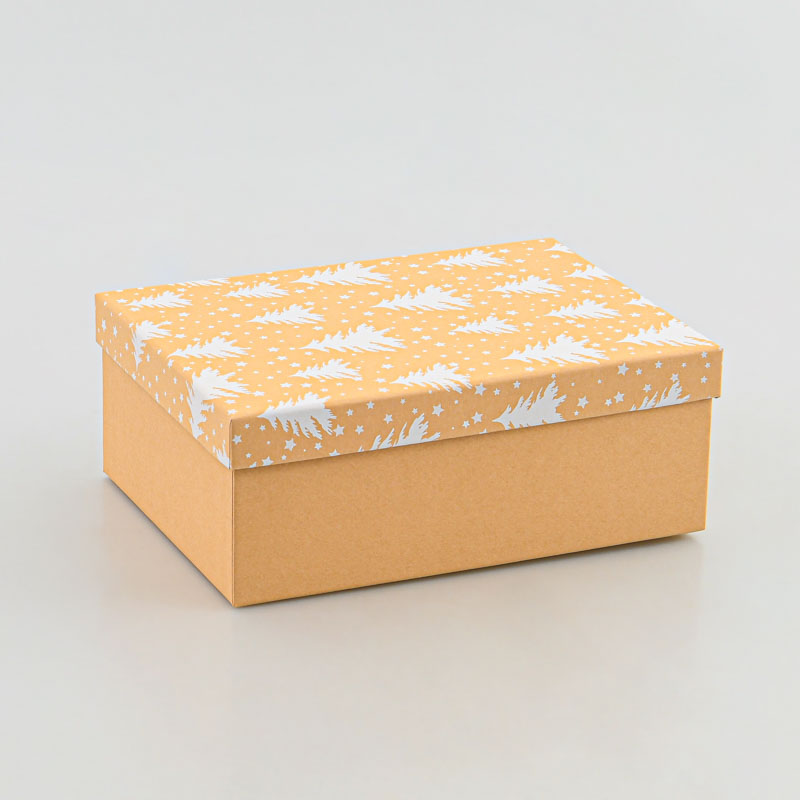 Boite cadeaux de Noël 