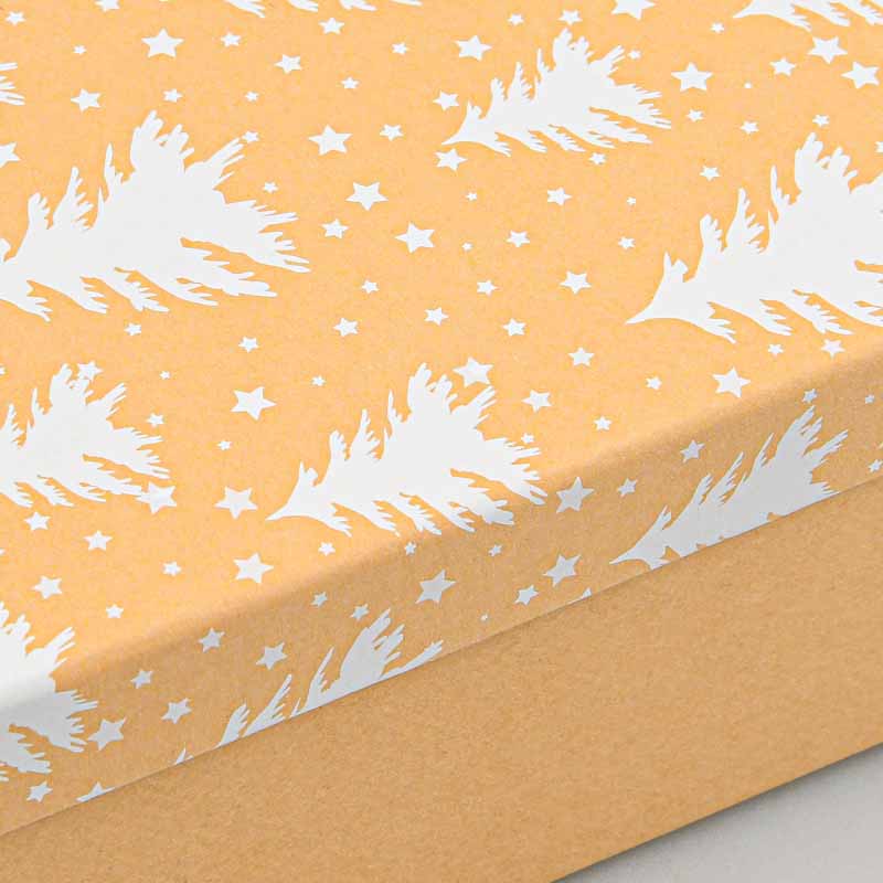 Boite cadeaux de Noël 