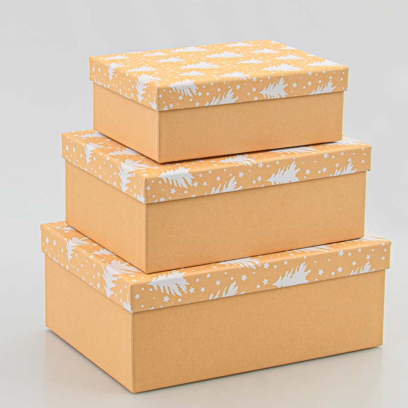 Boite cadeaux de Noël 