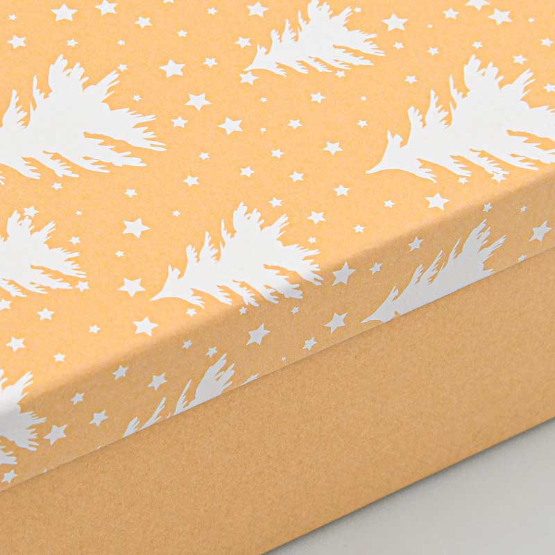 Boite cadeaux de Noël 