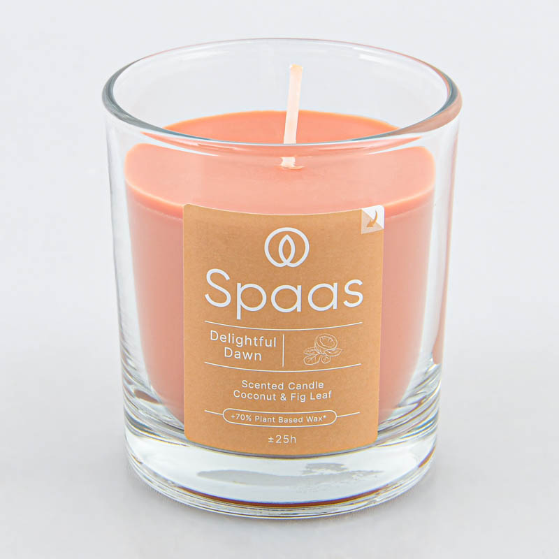 Bougie parfumée coco et feuille de vigne 
