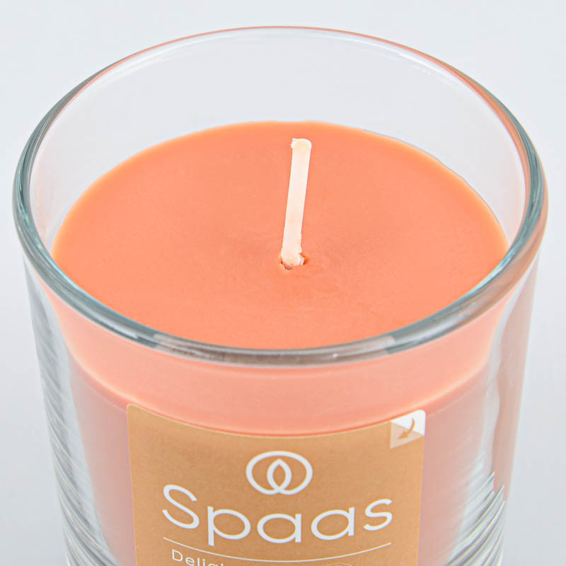 Bougie parfumée coco et feuille de vigne 