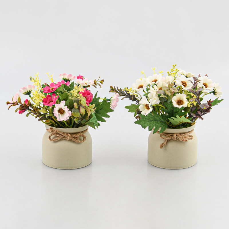Petit pot marguerites