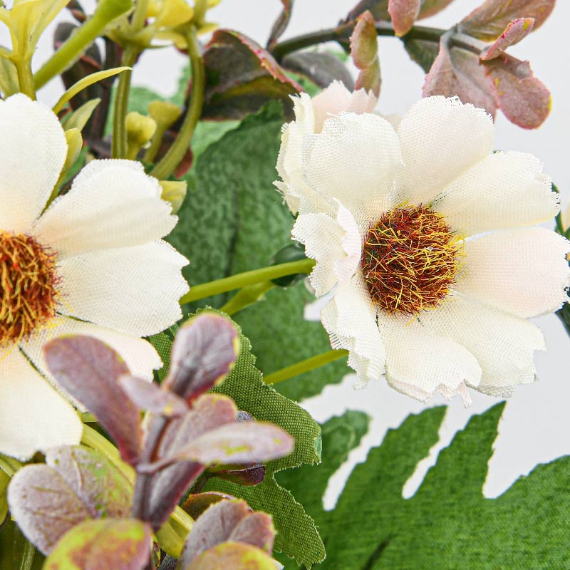 Petit pot marguerites